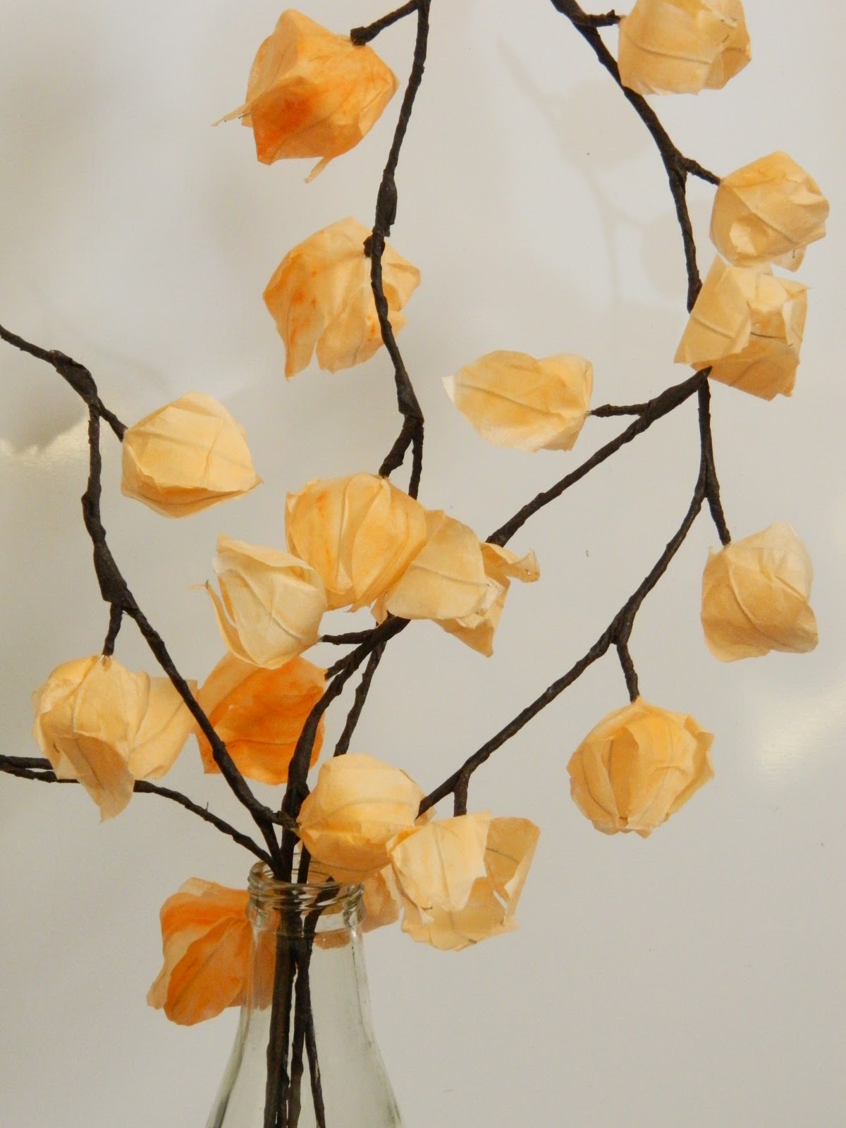 Физалис оригами